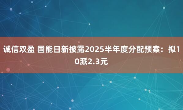 诚信双盈 国能日新披露2025半年度分配预案：拟10派2.3元